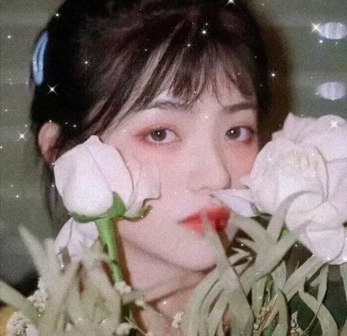 我们的高校时代